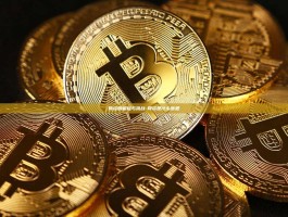 网资的崛起与挑战-网资是什么意思
