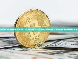 国家外汇管理局服务平台，助力企业和个人高效管理外汇-国家外汇管理局网上平台