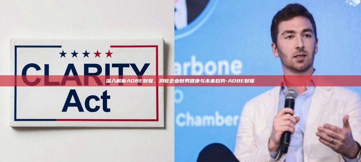 深入解析ADBE财报,洞察企业财务健康与未来趋势-ADBE财报