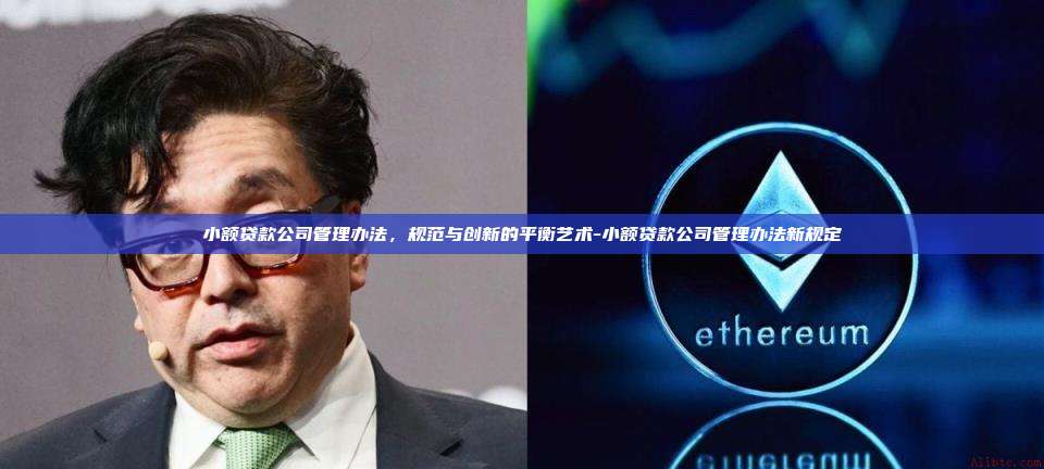 小额贷款公司管理办法,规范与创新的平衡艺术-小额贷款公司管理办法新规定